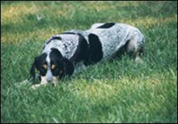 Click to view exif information